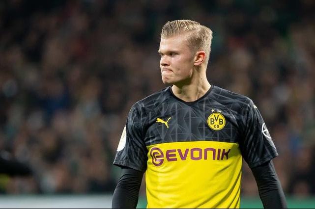 他们凭借卓 他们凭借卓